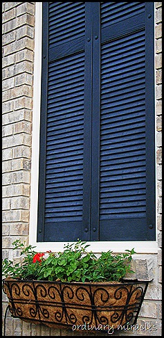 outside 1