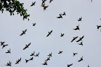 20090509_0914.JPG