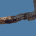 P2124697