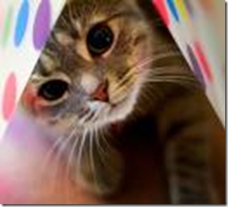 cat2