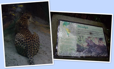 View zoo8