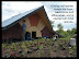 CK living roof with native plant species
