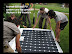 RDLP photovoltaic installation