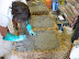 Buttering the bales with hands in gloves tends to get better penetration