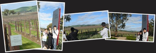 View Barossa Valley, Adelaide