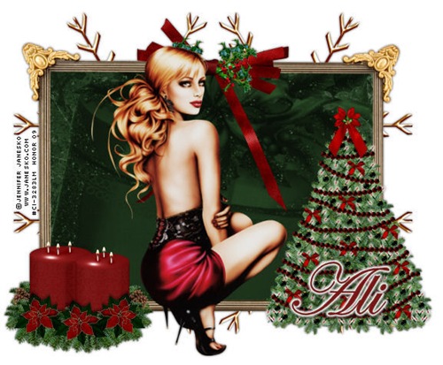 Ali_JaneskoChristmasDBH1