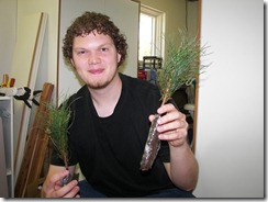 Tree Seedlings from our Wedding | June 2009