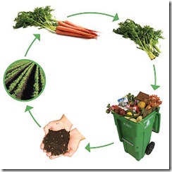composting_5