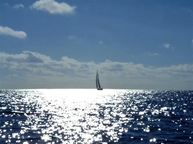 [Sailing into the sun (Medium)[3].jpg]