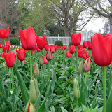 The gardens behind the Governor's Palace.