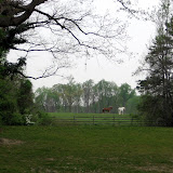 A pasture behind the Governor's Palace.