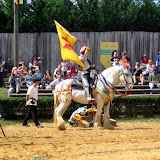 Ye olde jouster.