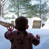 Looking out the back deck at the aftermath of Blizzard '09. (December)