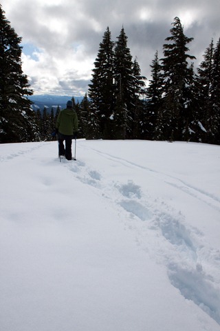 [Mt Hood Snowshoeing-55[2].jpg]