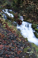 [Oregon Waterfalls-97[2].jpg]