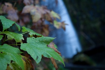 [Oregon Waterfalls-103[2].jpg]