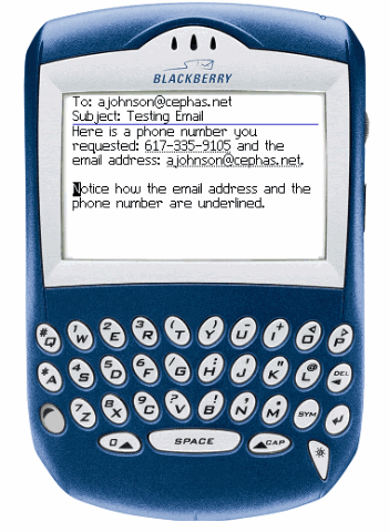 [blackberry_ui_large[2].gif]