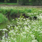 2008 January - May 100.jpg