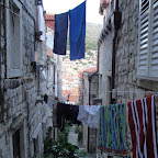 DSC02580.JPG