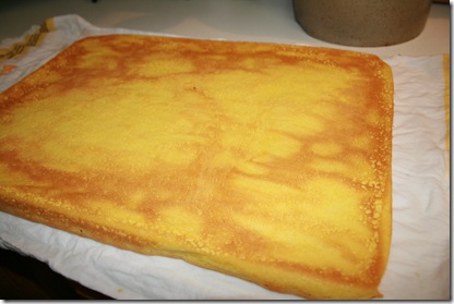 rollo de fresas9