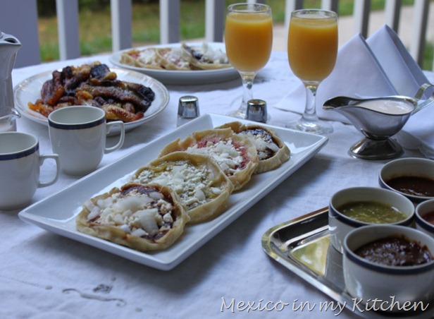 picadas1