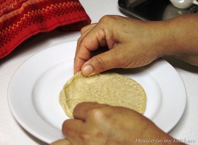 [picadas6[7].jpg]