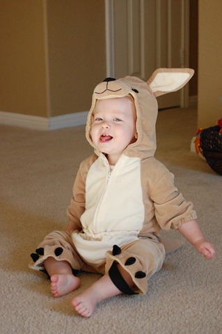 [DSC_0072[2].jpg]