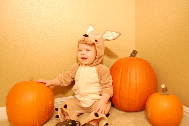 [DSC_0155[2].jpg]
