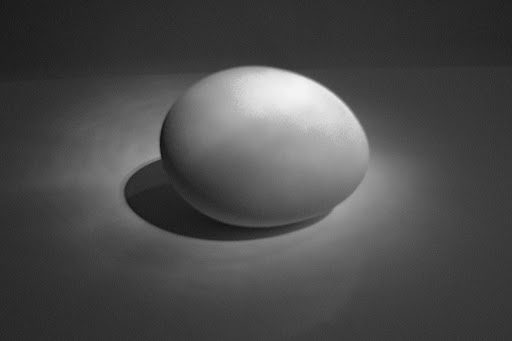 egg