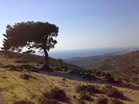 03082008886.jpg