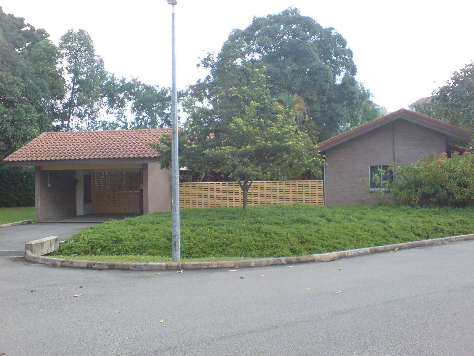 [DSC00237.JPG]