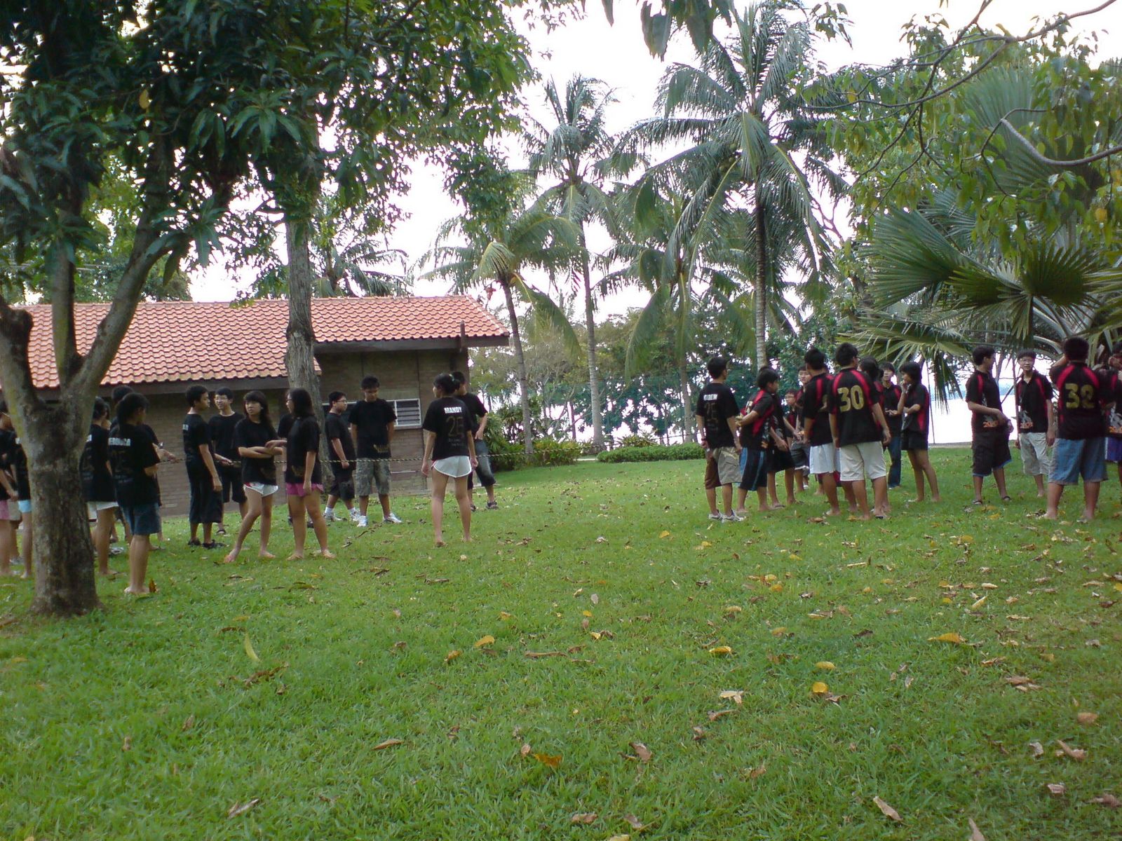 [DSC00221.JPG]
