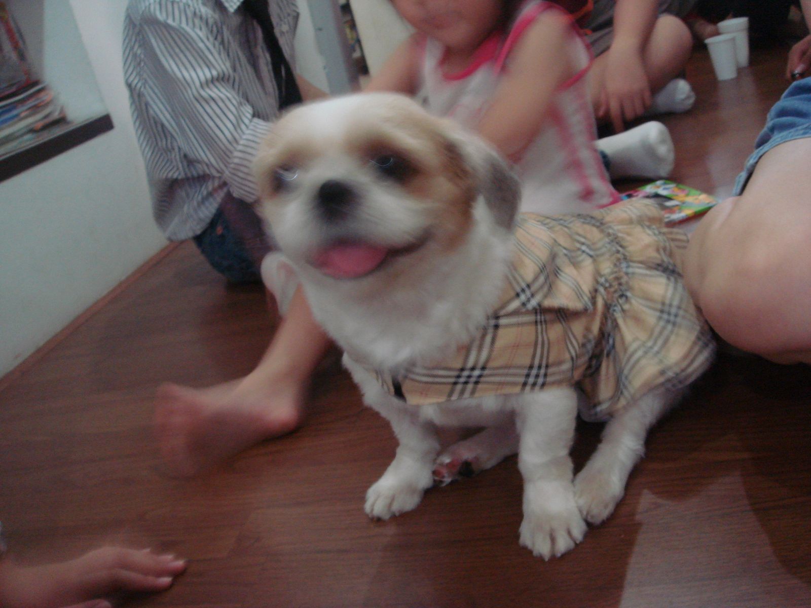 [DSC05252.JPG]