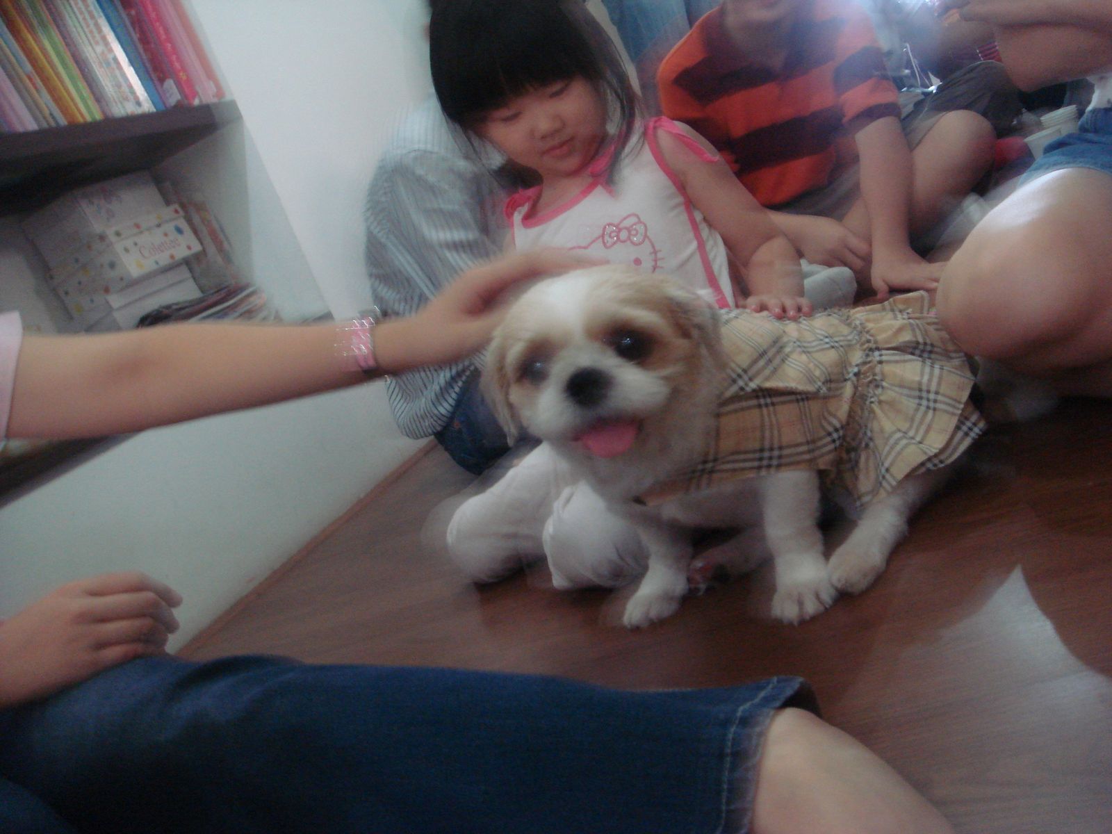[DSC05254.JPG]