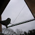 R0021889.JPG