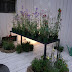 R0024200.JPG