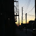 IMG_4822.JPG