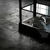 IMG_5313.JPG