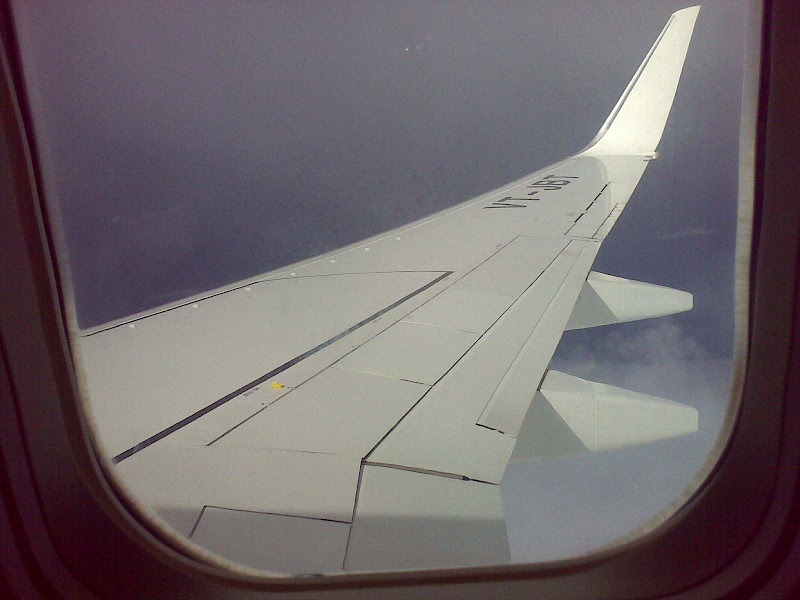 wing