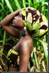 blackisbeautiful.se (14) blackisbeautiful.se (14)