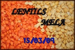 [Lentils[2].jpg]