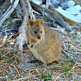 Australia 02-2008
