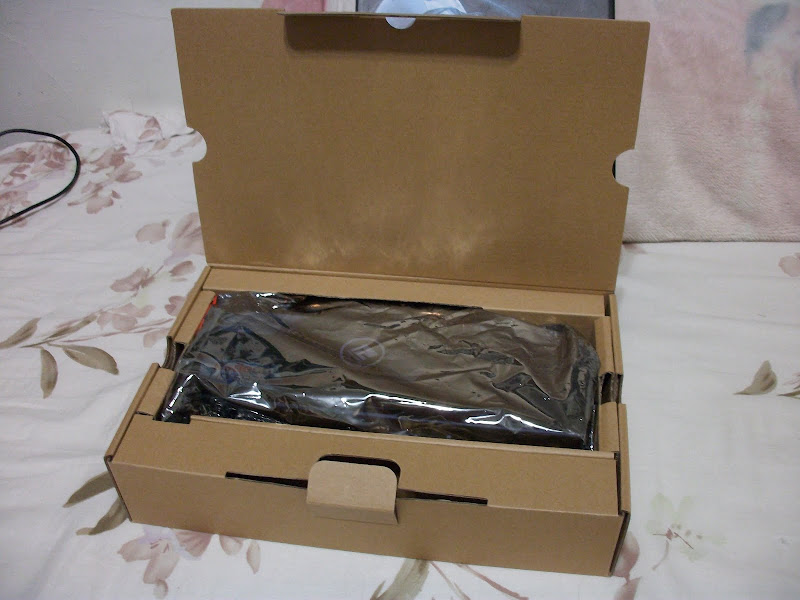ALIM0634.JPG