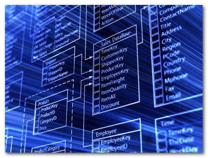 THE IMPORTANCE OF DATABASE FOR AN ORGANIZATION