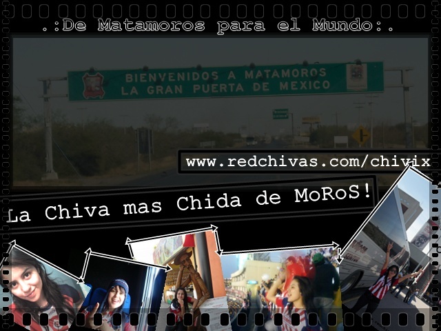 http://lh5.ggpht.com/_aVp6GpAMsJ0/S4WDDYIu_wI/AAAAAAAACHY/h8M4eY17XO8/s800/bbni2.jpg