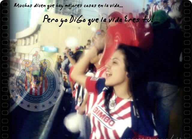 http://lh5.ggpht.com/_aVp6GpAMsJ0/S5fKHUL4S0I/AAAAAAAACPA/pZgfqUkL-hY/s800/vida.jpg
