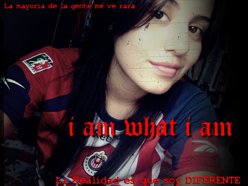 http://lh5.ggpht.com/_aVp6GpAMsJ0/Ssk30sgtH7I/AAAAAAAABEA/a5bUA99VCJM/s800/iam.JPG
