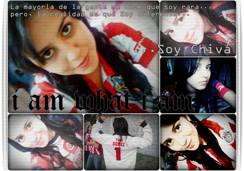 http://lh5.ggpht.com/_aVp6GpAMsJ0/TAQ0QviyMMI/AAAAAAAACaw/Vl88MQZYyno/s800/Libre3.jpg