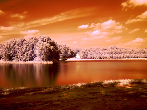 stunning Infrared photography and Tutorials