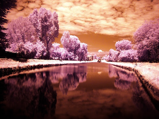 IR Pavese Infrared photography